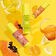 SEPHORA    POP LEMN 22   MASK 30ML